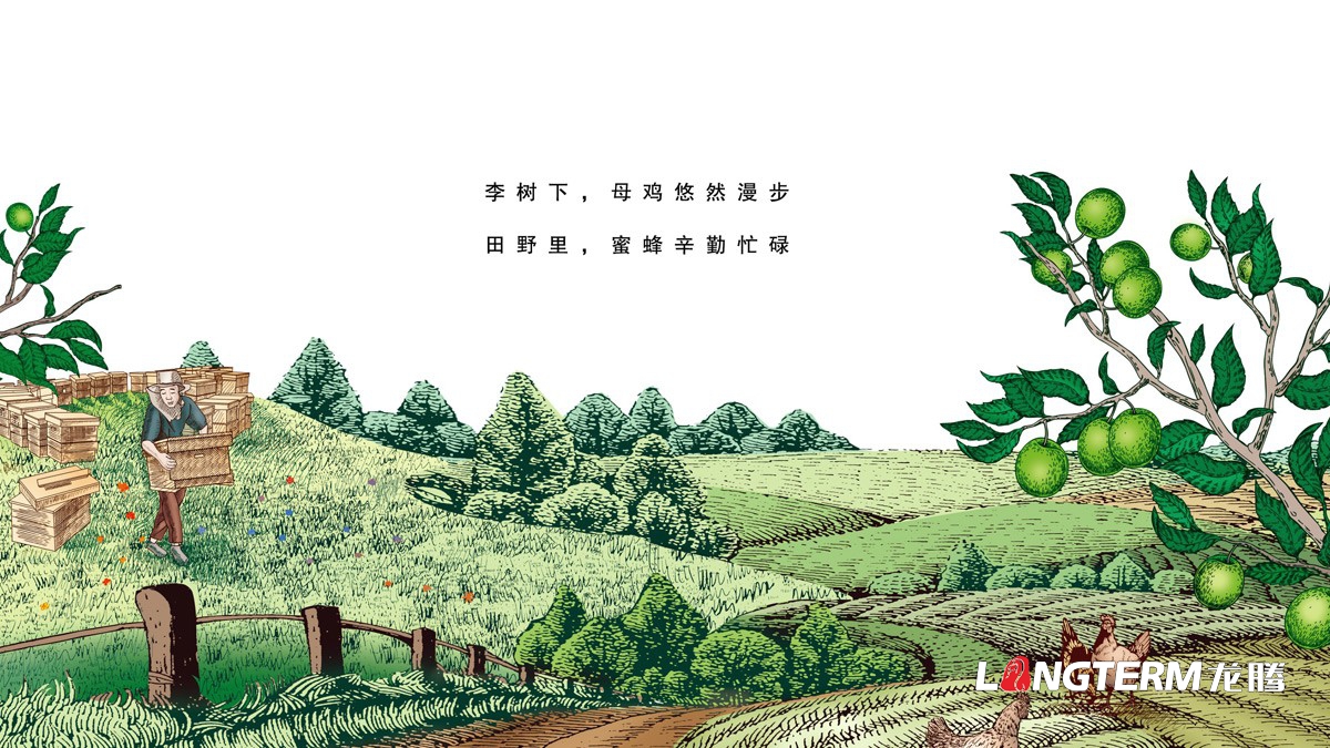 达州市大竹县李子园水果包装箱设计公司_李子礼盒彩箱手绘原创设计效果图